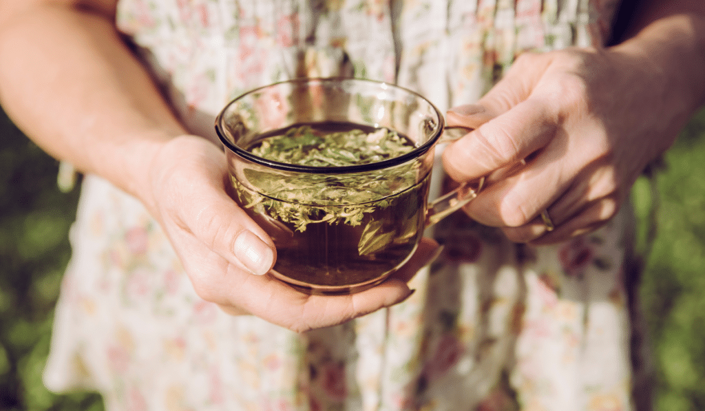 Frau hält eine Glastasse mit Frauenmantel Tee in den Händen